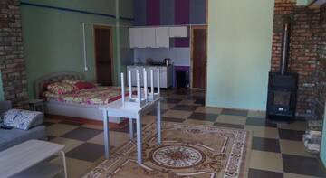 Фото номера Апартаменты-студио Гостиница Guest House Cherekha г. Псков 2